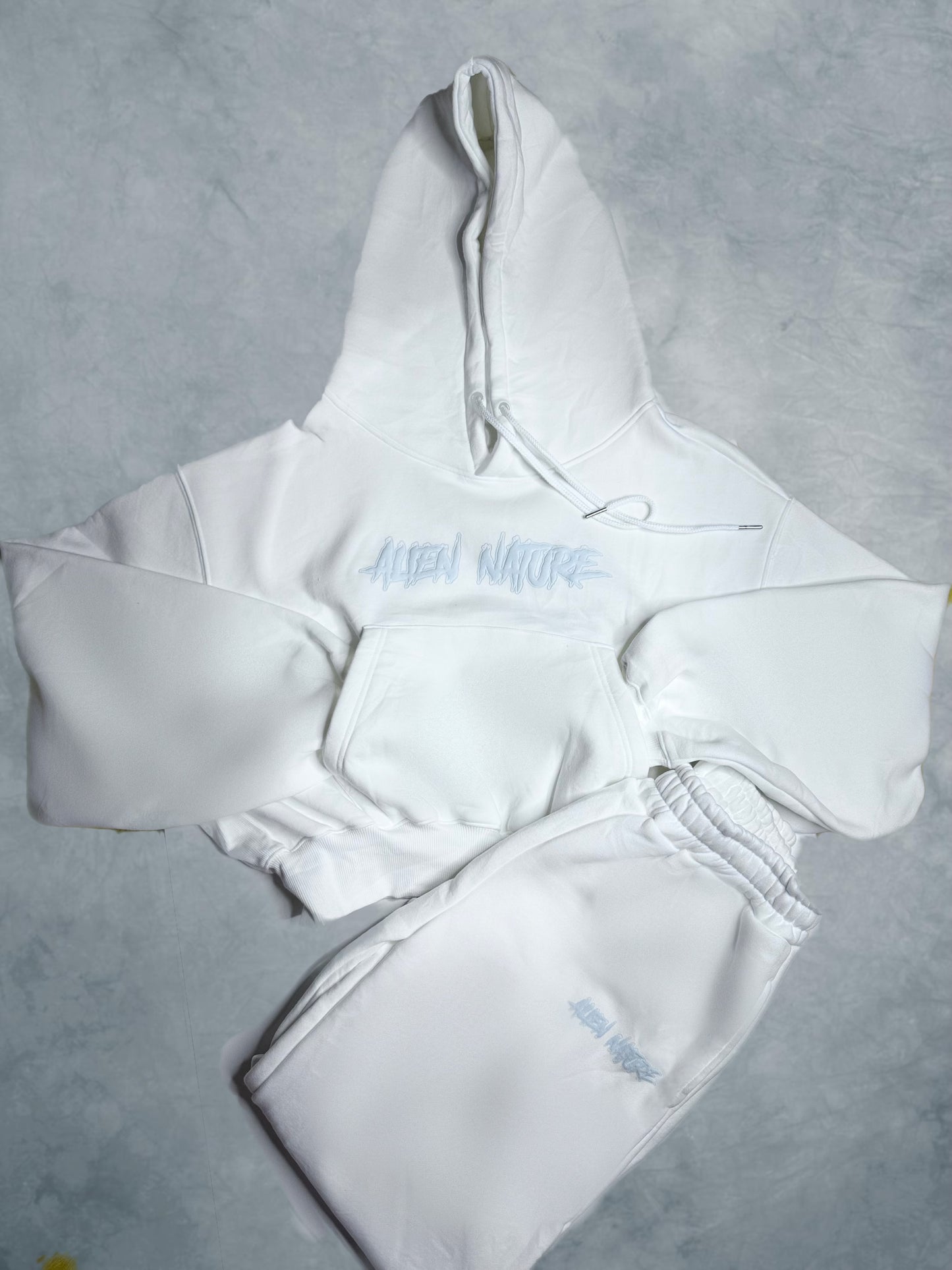 Alien nature Frosty  Hoodie crop set